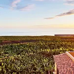 La Palmita Sunset *